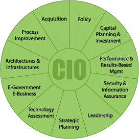 Virtual CIO