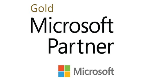 MS Gold Partner