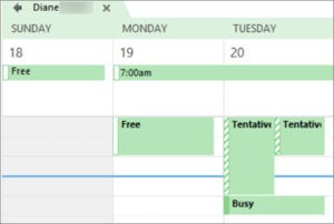 Outlook Can View When Im Busy Permission